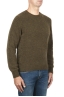 SBU 01868_19AW Green alpaca and wool blend crew neck sweater 02